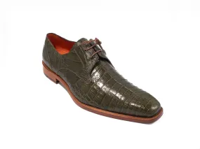 Alligator (Anderson)