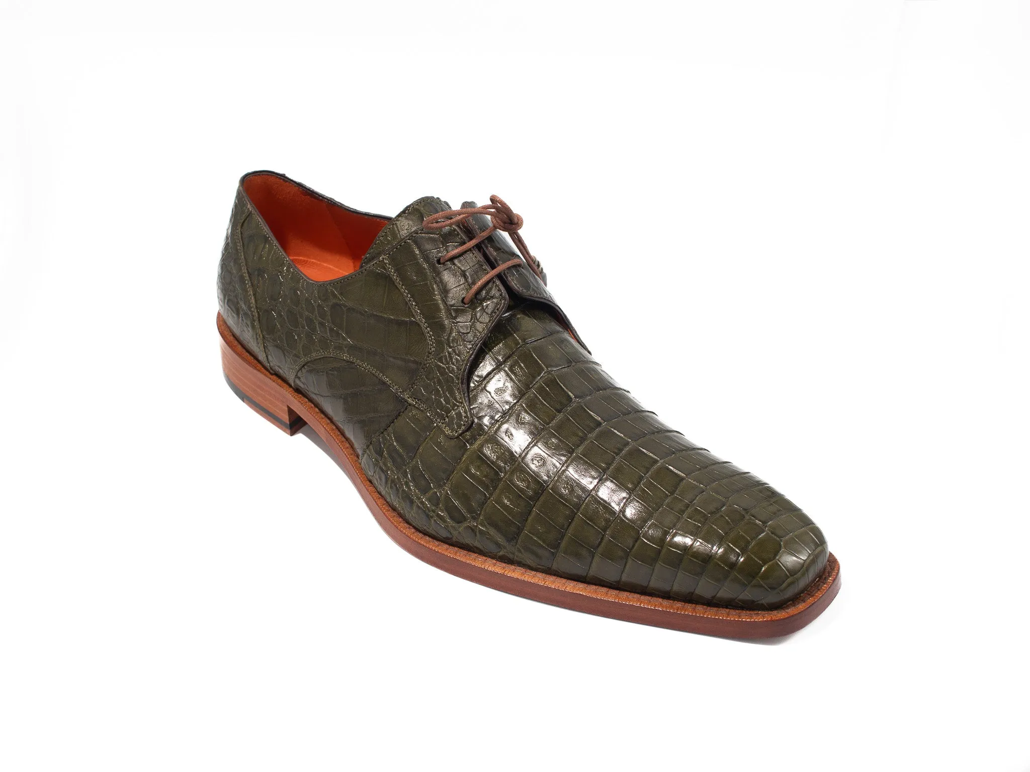 Alligator (Anderson)
