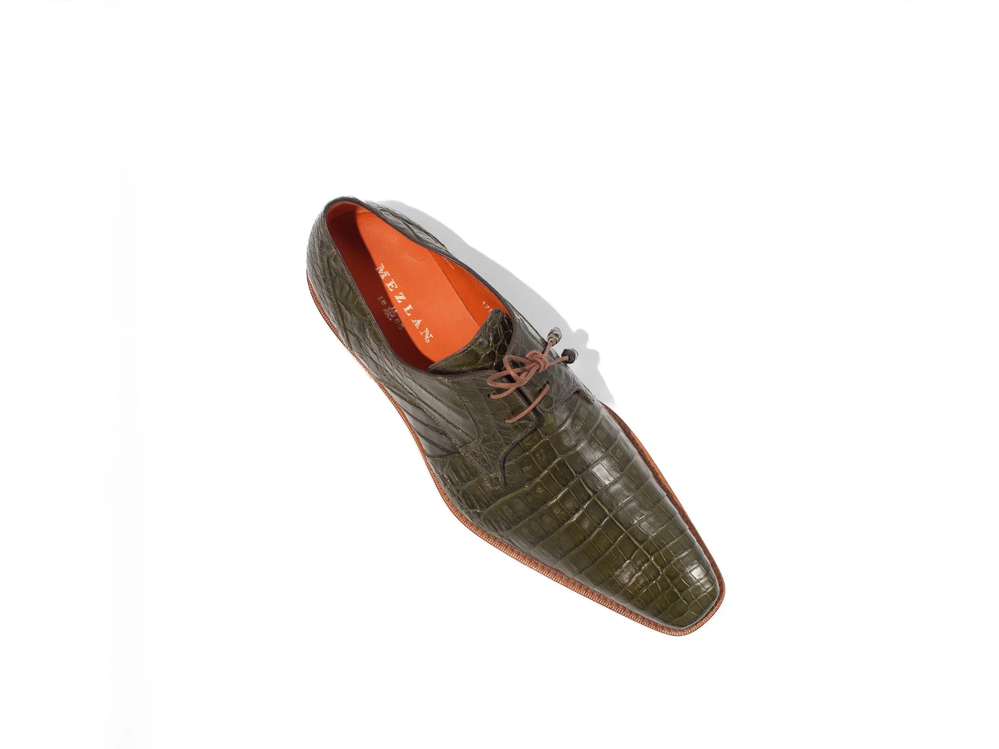 Alligator (Anderson)