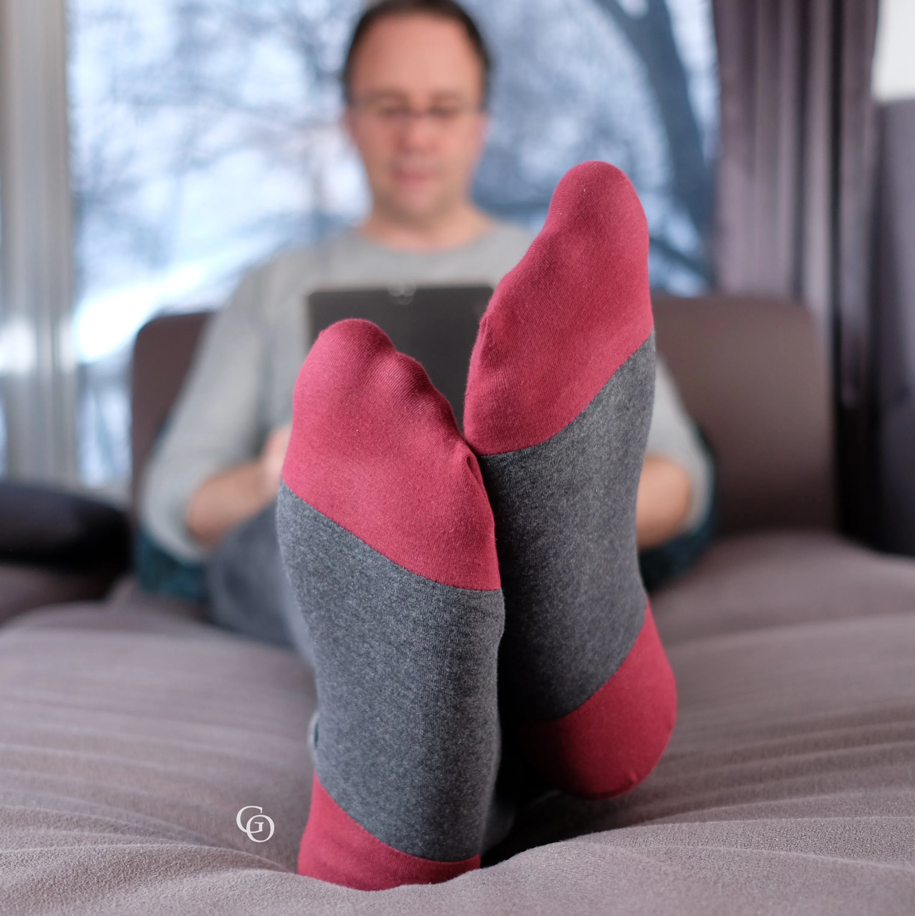 The Wolf and the Tree - Going Rogue Socks